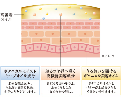 オイルヴェール