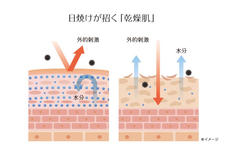 紫外線がお肌へ与える影響やダメージとは？ 紫外線の基礎知識と合わせてご紹介！ ｜ Lala Life